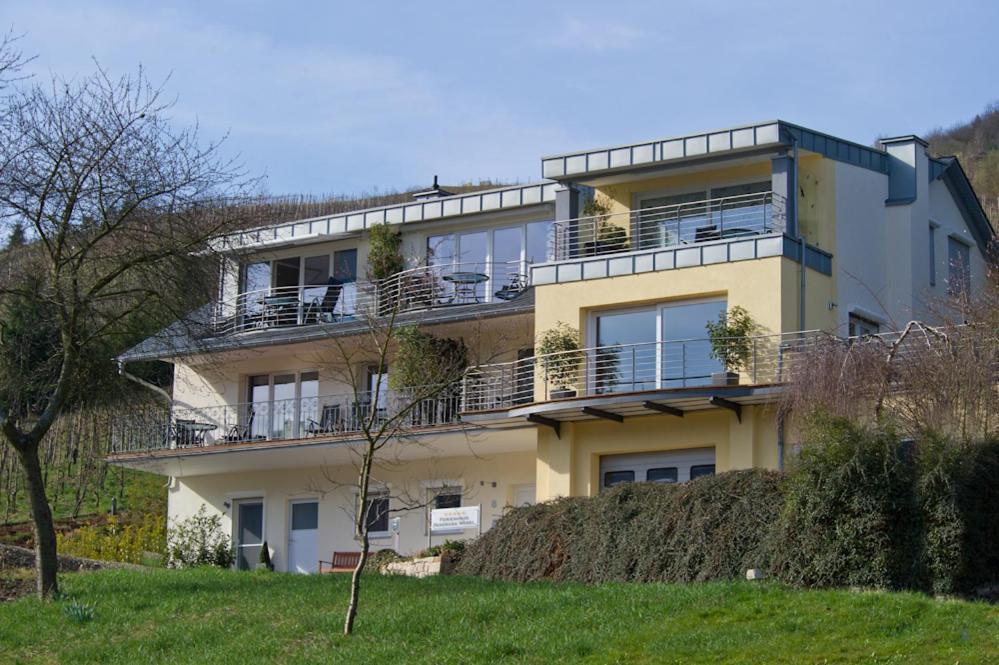 Ferienhaus Panorama Mosel 레일 외부 사진